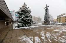 19.11.2022 Christbaum für die Kremser Feuerwehr